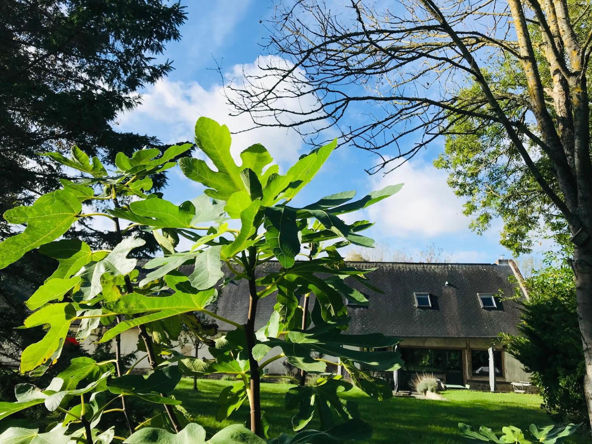 Rouge Cottage Gite 4 Etoiles Billard Gueutteville-les-Gres Dış mekan fotoğraf