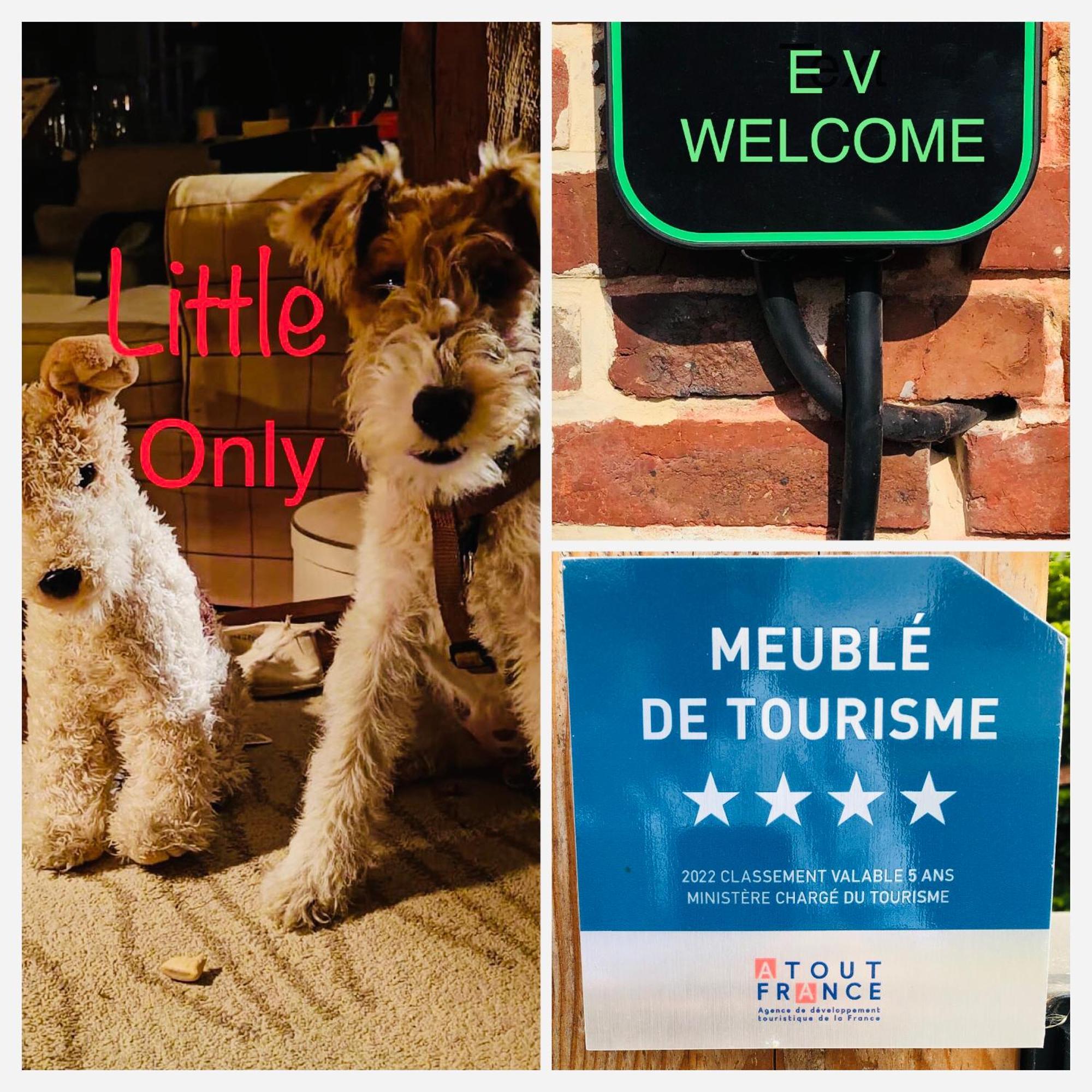 Rouge Cottage Gite 4 Etoiles Billard Gueutteville-les-Gres Dış mekan fotoğraf
